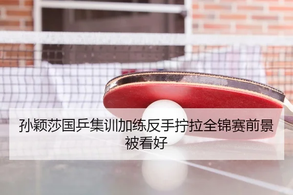 孙颖莎国乒集训加练反手拧拉全锦赛前景被看好